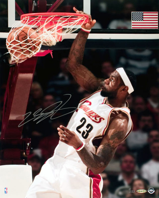 lbj dunks